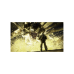 Game For PS5 Gears Of War - Reloaded