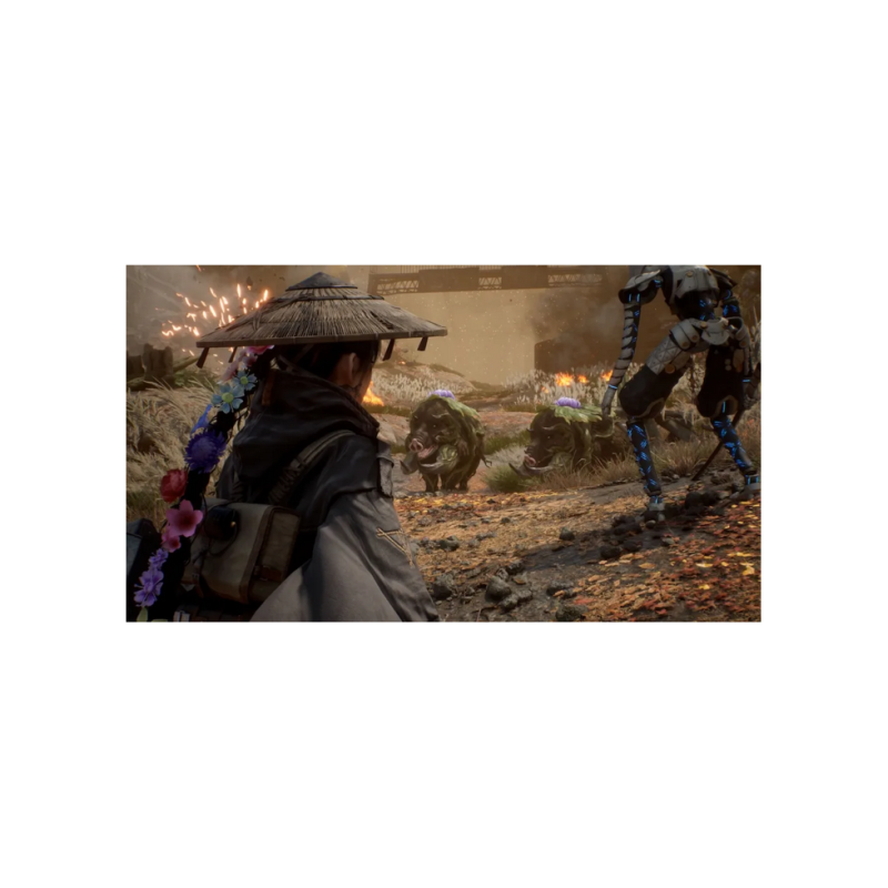 Game For PS5 Beast Of Reincarnation