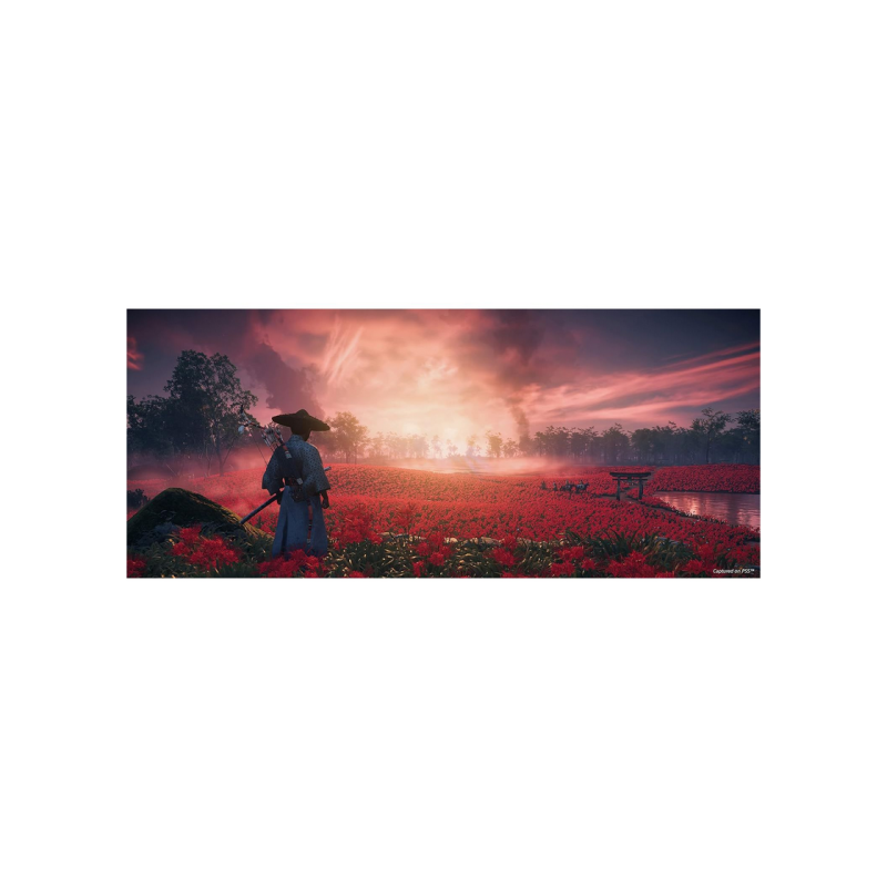Game For PS5 Ghost of Tsushima Director's Cut PS5