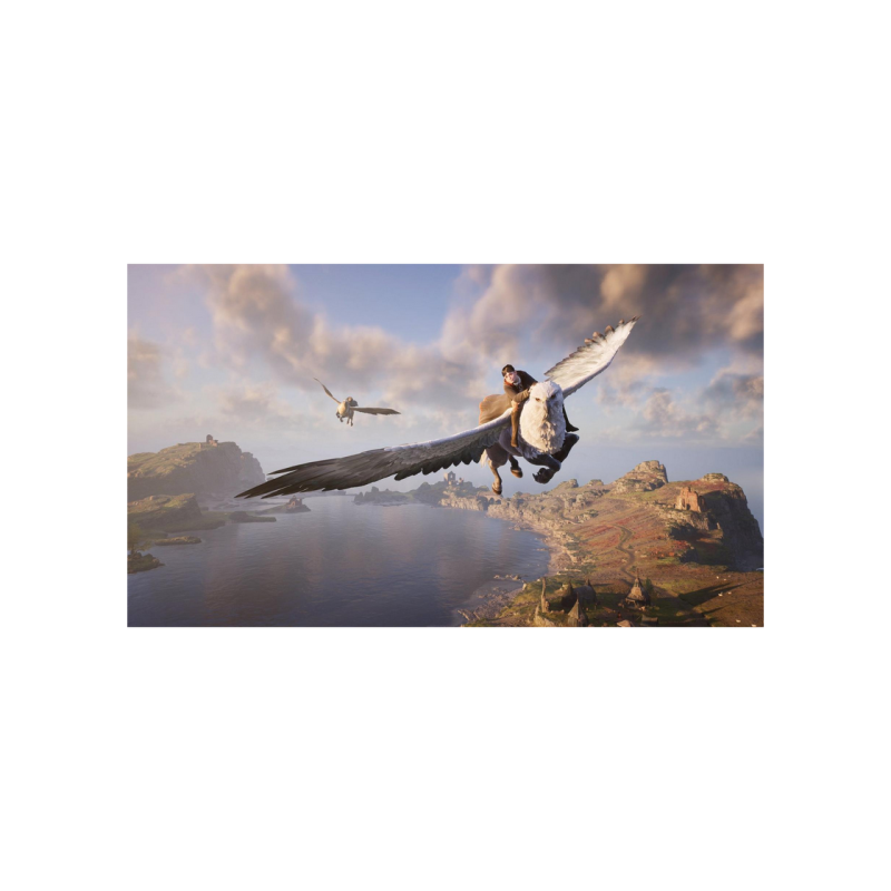 Game for Nintendo Switch Hogwarts: Legacy