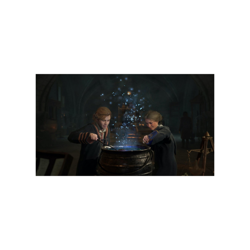 Game for Nintendo Switch Hogwarts: Legacy