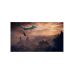 Game For PS5 Elden Ring: Nightreign Seekers Edition