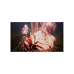 The First Berserker: Khazan (PS5
