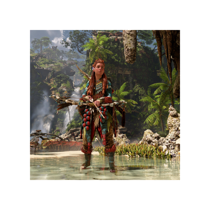 Game For PS4 Horizon Forbidden West