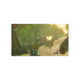 The Legend of Zelda: Breath of the Wild - Nintendo Switch 2 Edition (Switch 2