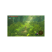 The Legend of Zelda: Breath of the Wild - Nintendo Switch 2 Edition (Switch 2