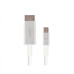 Cable Moshi, Silver