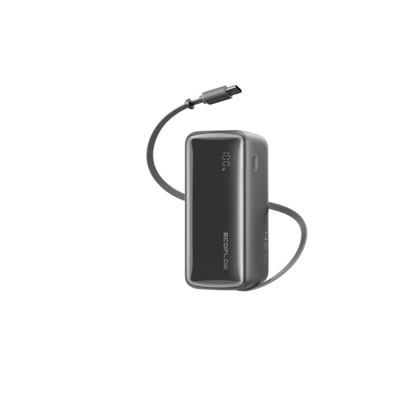 Пауэрбанк EcoFlow Rapid 20K, 10.000mAh,  Black