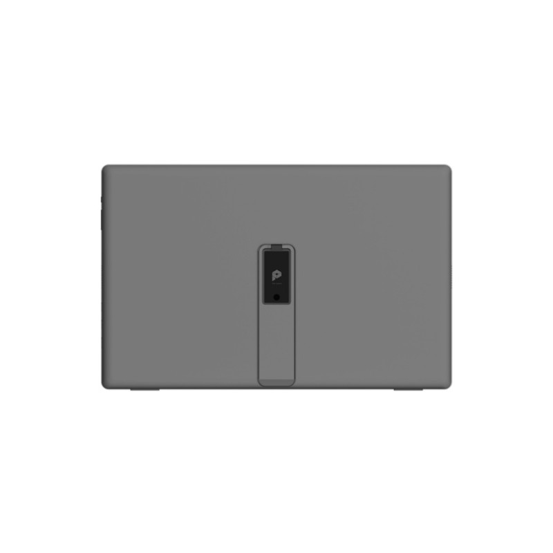 Монитор MSI PRO MP161 E2U, Black