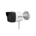IP-камера Hikvision DS-2CV1021G0-IDW1