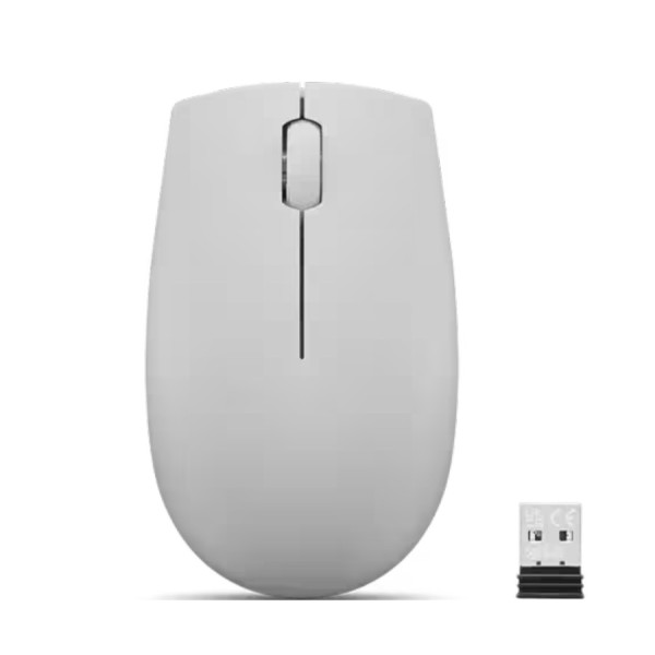 Mouse Lenovo 300 Wireless, Arctic Grey