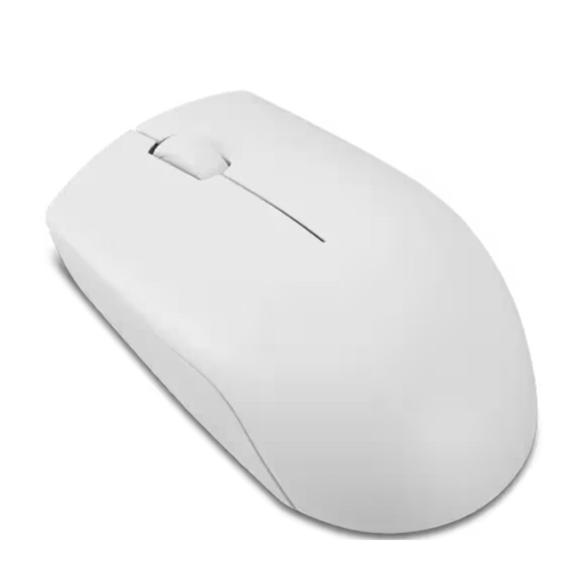 Mouse Lenovo 300 Wireless, Cloud Grey