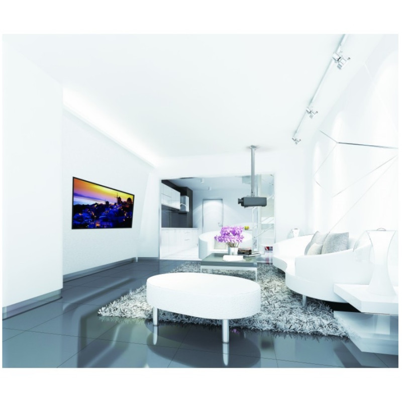 Крепление для проектора Reflecta TAPA Silver, 23059