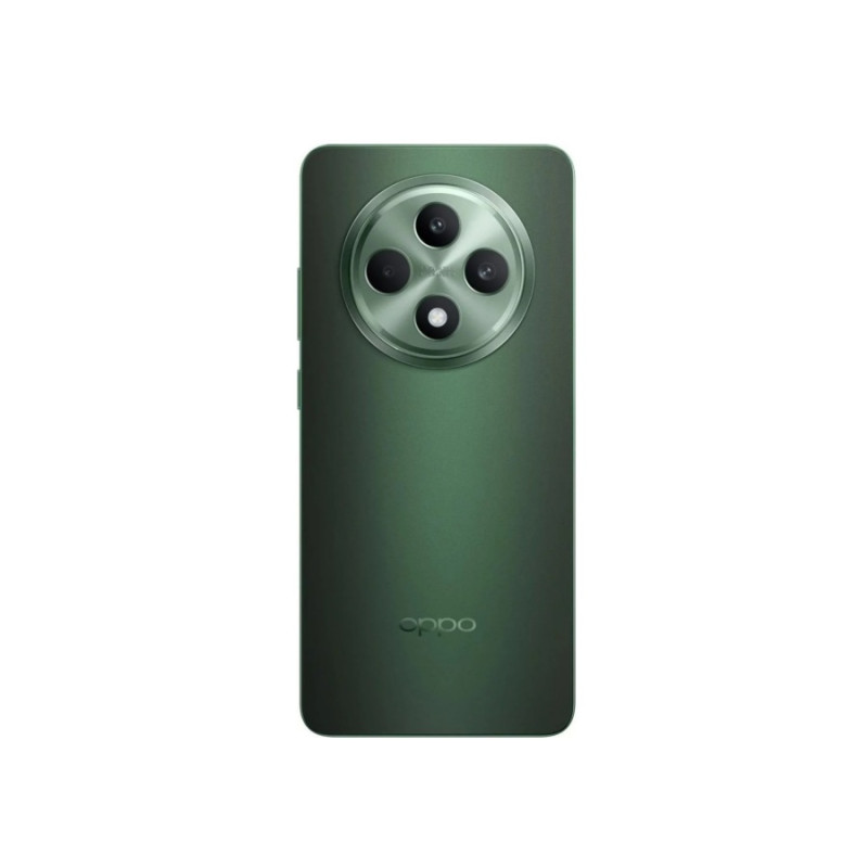 OPPO Reno 12 FS 5G 12/512GB Черный Зеленый