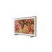 Телевизор Samsung QE75LS03DAUXUA