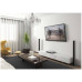 Крепление для телевизора Reflecta PLANO Flat 70-8040T, Black