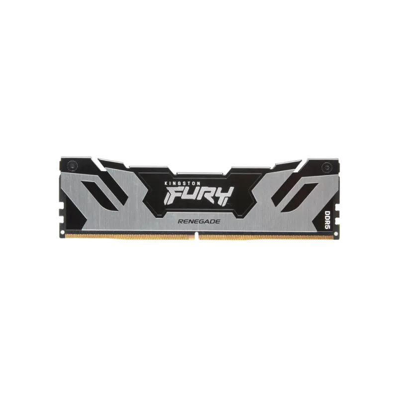 Оперативная память 16GB DDR5-6000 Kingston Fury Renegade, Silver