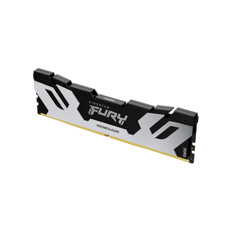 Оперативная память 16GB DDR5-6000 Kingston Fury Renegade, Silver