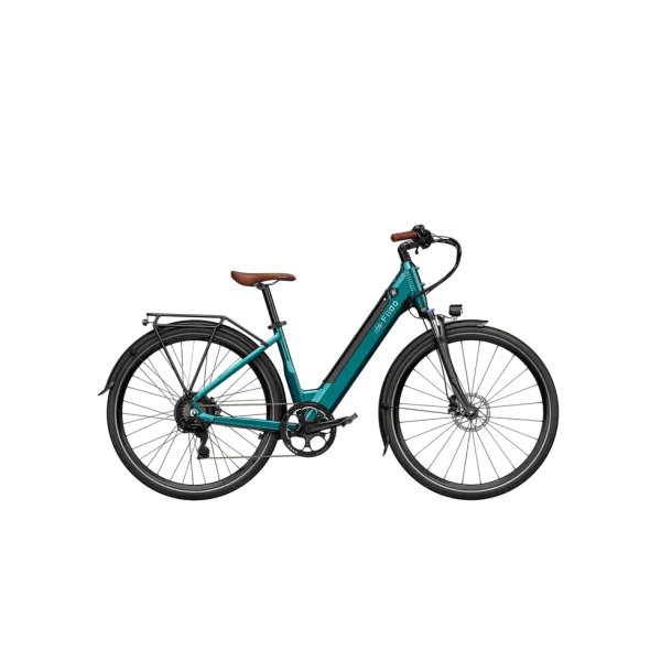 Electric bicycle FIIDO  C11 PRo